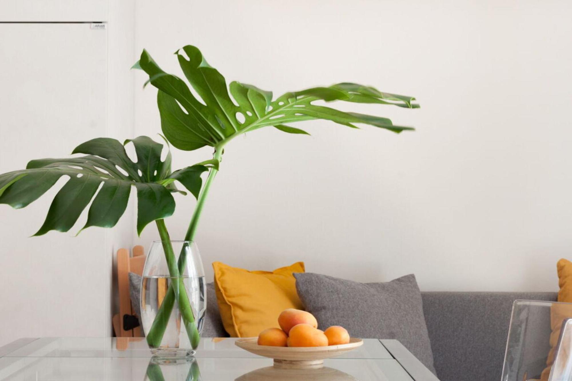 Italian Experience-Lungarno Suite Apartment Florencja Zewnętrze zdjęcie